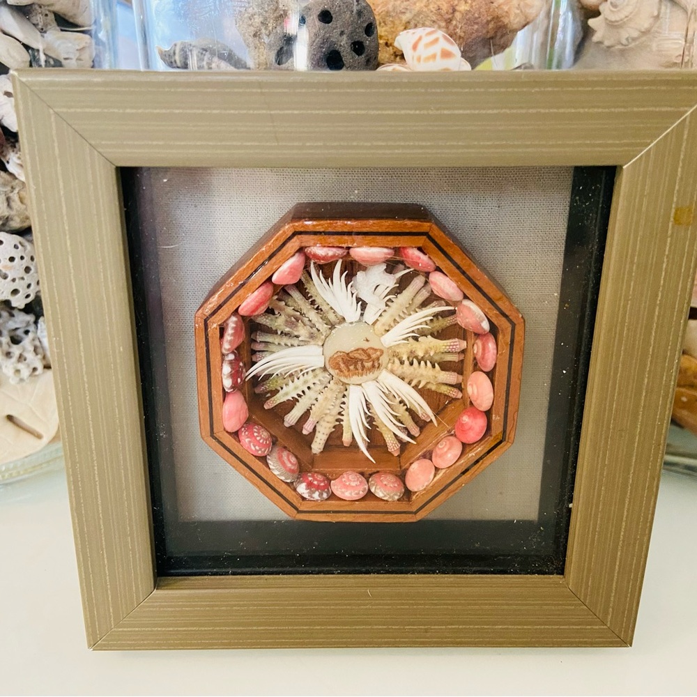 Vintage Unique Sailors Valentine With Mushroom Etched Center